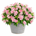 Plante artificielle en pot 45 cm fleurs roses feuillage synthétique décorative