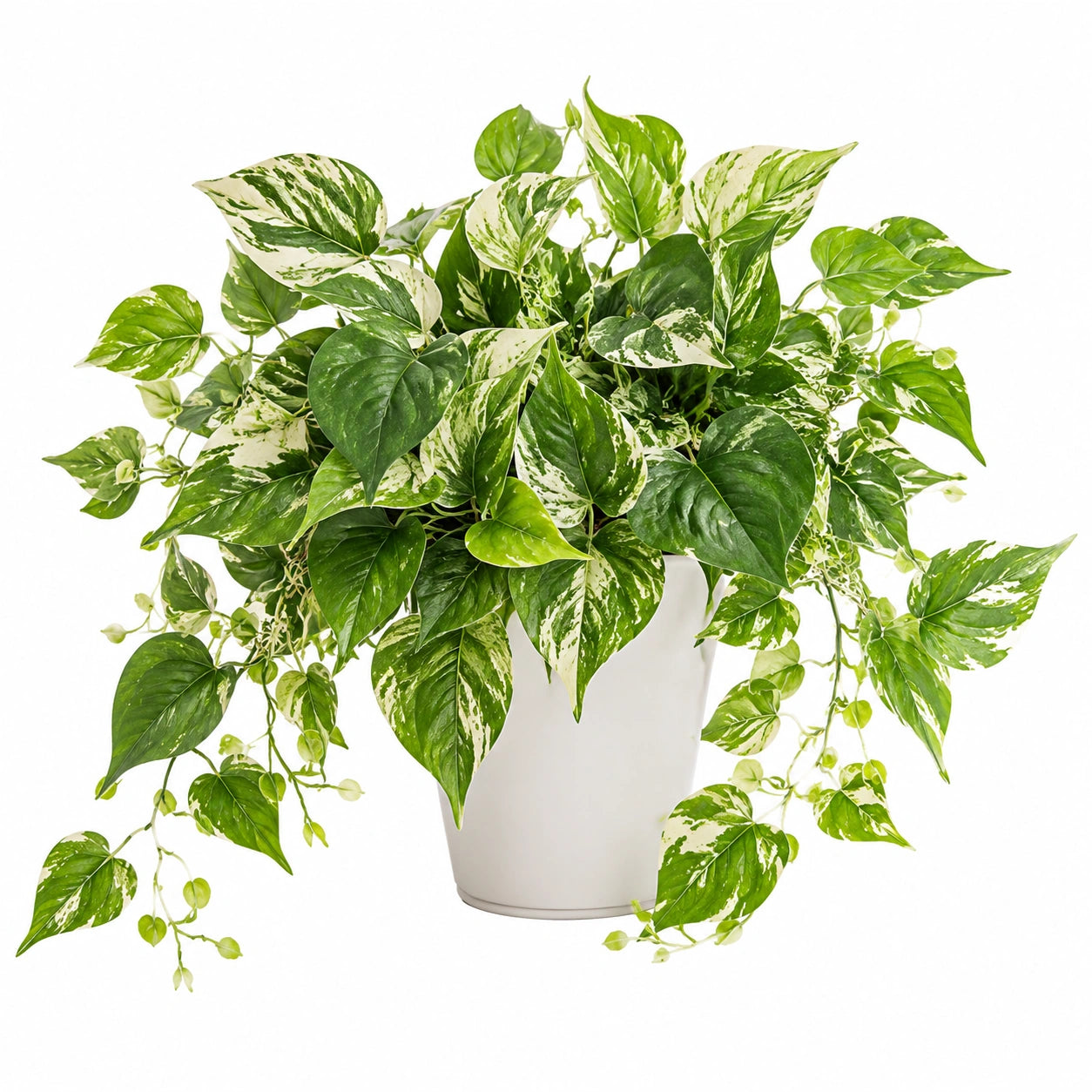 Plante verte artificielle 75 cm en plastique vert et blanc pour décoration intérieure retombante