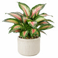 Plante artificielle en pot 65 cm feuillage vert et rose pour intérieur